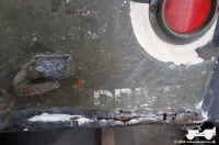 2021_paint_strip_22.jpg (128419 bytes)