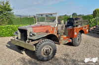 2021_paint_strip_48.jpg (145781 bytes)