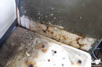 2021_paint_strip_51.jpg (93145 bytes)